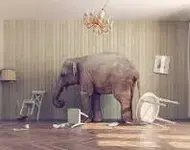 1696388217372.webp