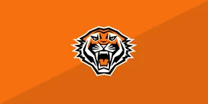Untitled design (45).webp