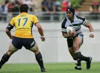 Eels1.webp