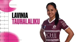 tauhalalikulavinia-1.webp