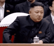 IMG_2732.gif