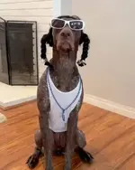 1759305530136.webp
