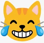 1762233124565.webp 1762233124565.webp