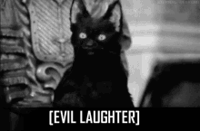IMG_4109.gif