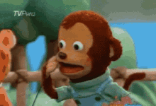 IMG_4246.gif