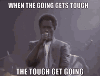1778743280570.gif