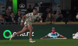 IMG_1009.gif