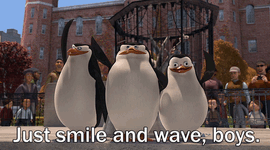 IMG_4313.gif