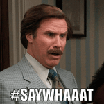 IMG_4337.gif IMG_4337.gif