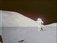 IMG_4343.gif