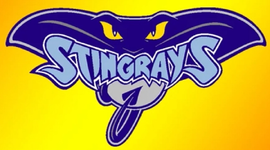 stingrays.webp