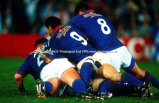 PS0031032-WARRIORS.webp