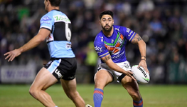 Sharks14 (1).webp