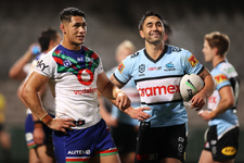 Sharks18.webp