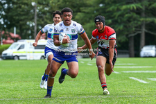 WarriorsBears-31.webp