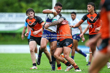 SGWarriorsTigers1.webp