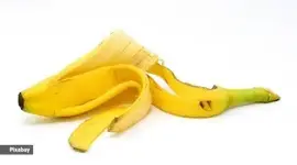 1713524164892.webp