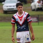 Kahu Capper Roosters 1.webp