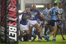 Sharks11.webp