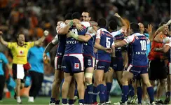 Krisnan Inu 2011 5.webp