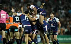Krisnan Inu 2011 3.webp
