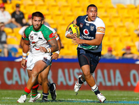 Sio Siua Taukeiaho 2011 8.webp